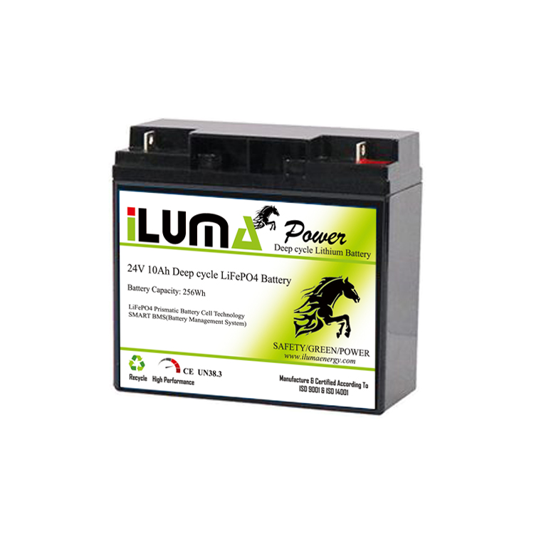 24V 10Ah LiFePO4 Battery