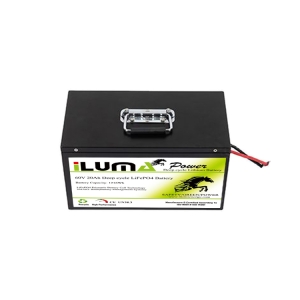 60V 20Ah LiFePO4 Battery