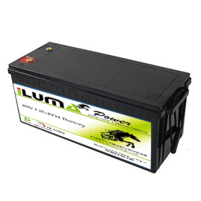 60V 20Ah LiFePO4 Battery