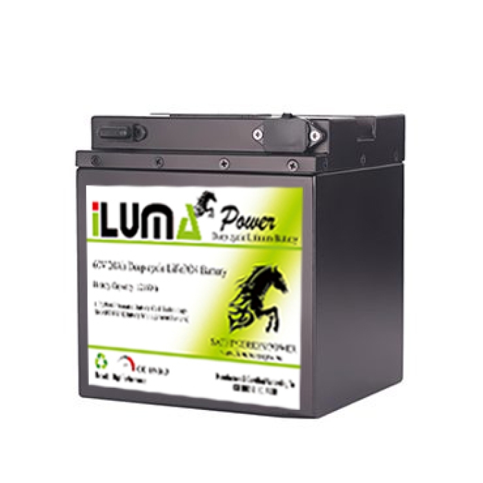 60V 20Ah LiFePO4 Battery