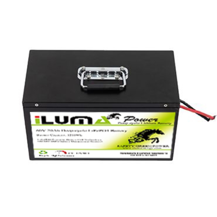 60V 20Ah LiFePO4 Battery