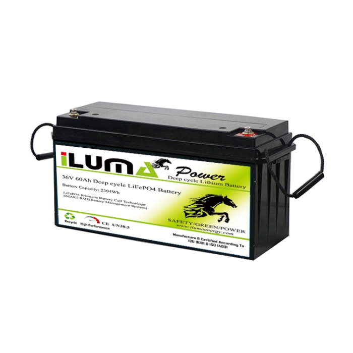 36V 60Ah LiFePO4 Battery