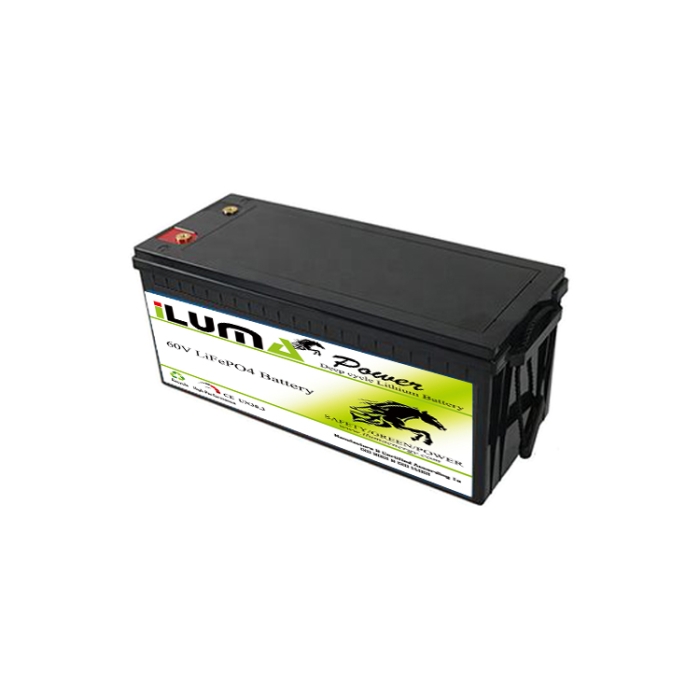 60V 20Ah-1 LiFePO4 Battery